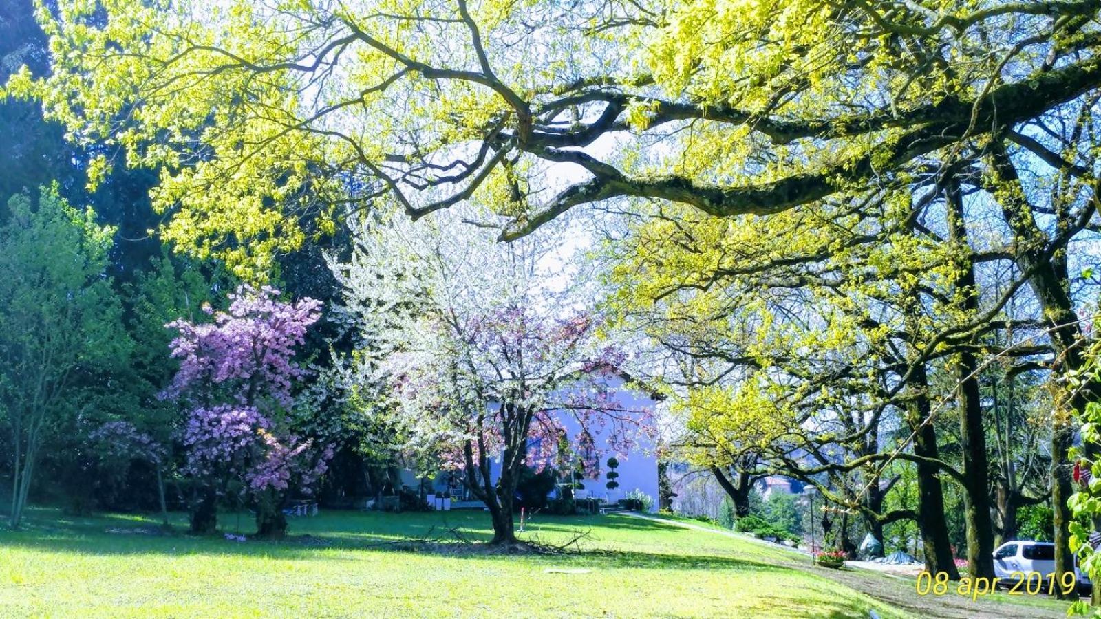 "La Selvetta" Bed And Breakfast Buguggiate Exterior foto